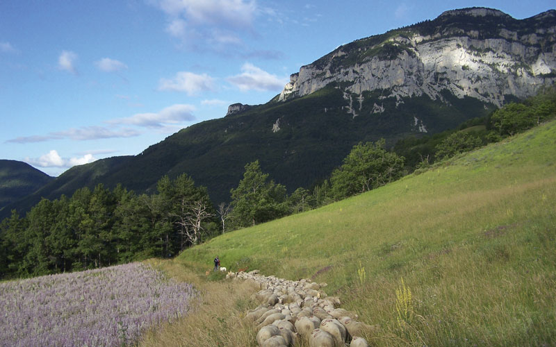 decouverte_environnement